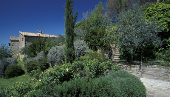 Locanda del Gallo - gallery