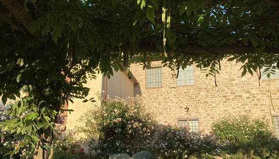 San Giovanni di Montenero - Gallery