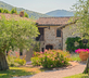 Villa Capanne - Gallery - picture 