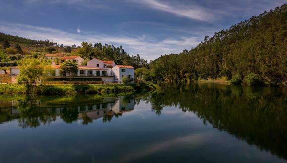 Reinado de Dom Dinis - Gallery