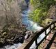 Flores do Vez - Casa Ruca - Gallery - picture 