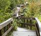 Flores do Vez - Casa Ruca - Gallery - picture 