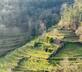 Flores do Vez - Casa Ruca - Gallery - picture 