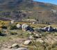 Flores do Vez - Casa Ruca - Gallery - picture 