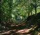 Quinta da Bouça d’Arques - Gallery - picture 