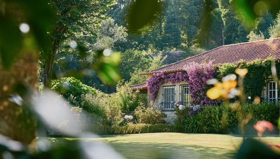 Quinta da Bouça d’Arques - Gallery