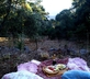 Quinta da Relva - Gallery - picture 