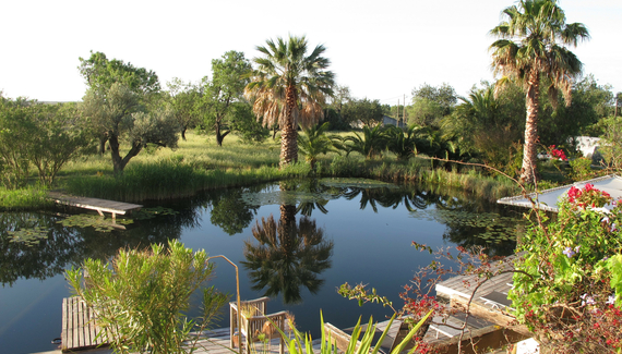 Quintamar - Gallery
