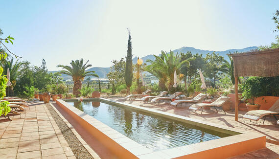 Finca del Alamo - Gallery
