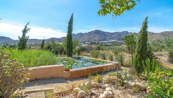 Finca del Alamo - Gallery