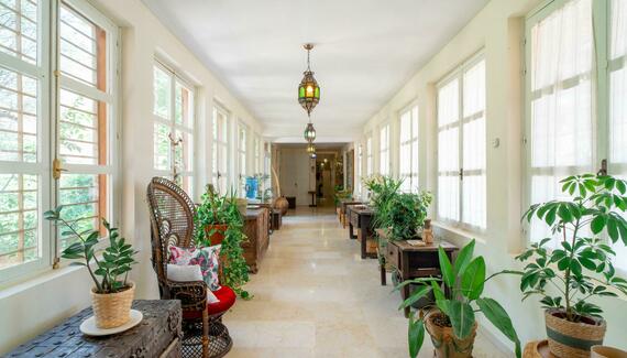 Finca del Alamo - Gallery