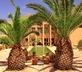 Finca del Alamo - Gallery - picture 