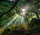 Casa Bella Vista Zufre - Gallery - picture 