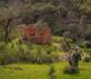 Casa Bella Vista Zufre - Gallery - picture 