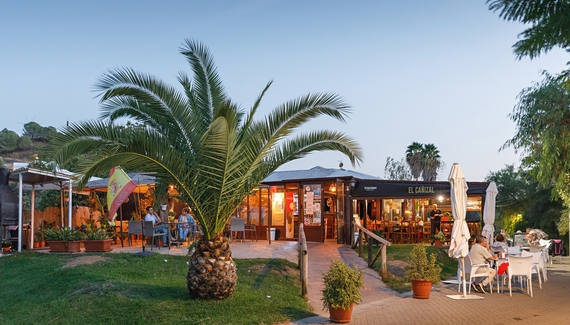 Casa Verde - Gallery