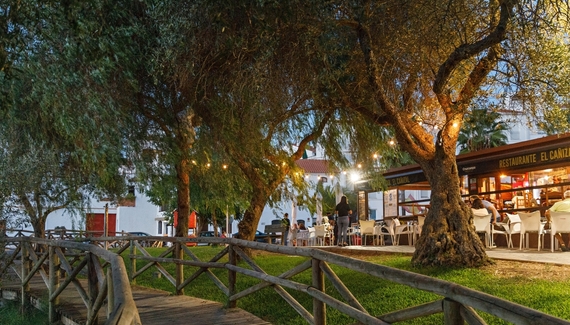 Casa Verde - Gallery