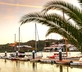Casa Verde - Gallery - picture 