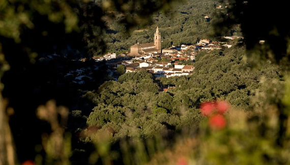 Posada Finca la Fronda - Gallery