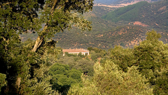 Posada Finca la Fronda - Gallery