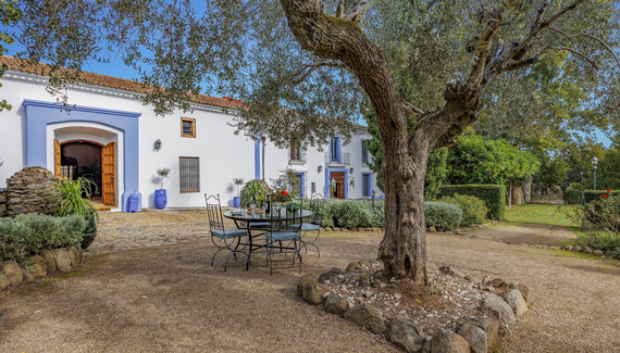 The Olive Mill - Gallery