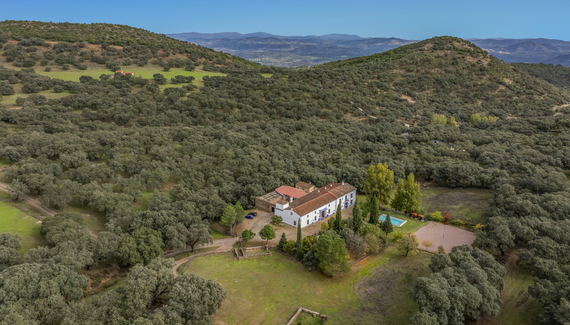 The Olive Mill - Gallery