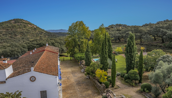 The Olive Mill - Gallery