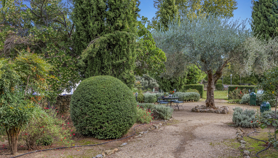 The Olive Mill - Gallery