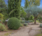 The Olive Mill - Gallery - picture 