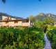 Finca – Agroturismo Ca’s Curial - Gallery - picture 
