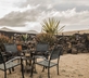The Jewel of the Sands - Gallery - picture 