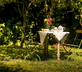 Casa Zalama - Gallery - picture 