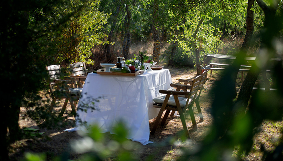Finca Fuente Techada - gallery