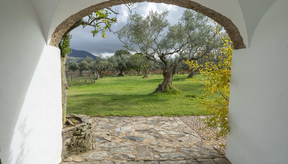 Finca El Azahar - Gallery