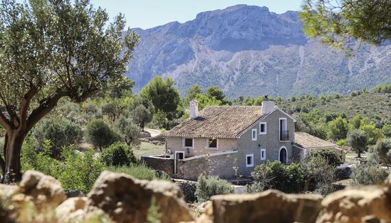 Finca Iris & Casa Grillo - Gallery